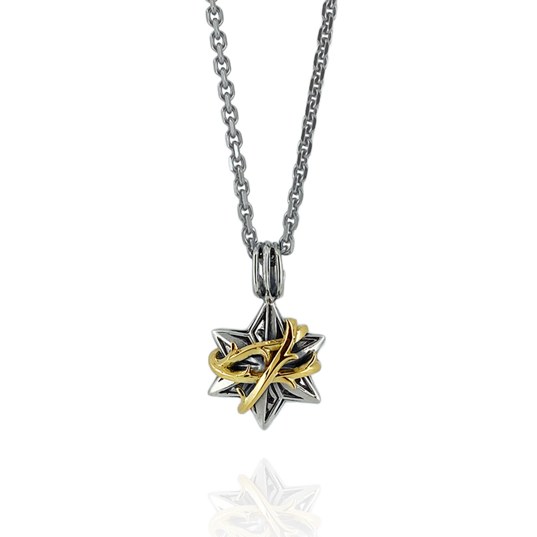 THORN HEXAGRAM PENDANT M SV × K10YG