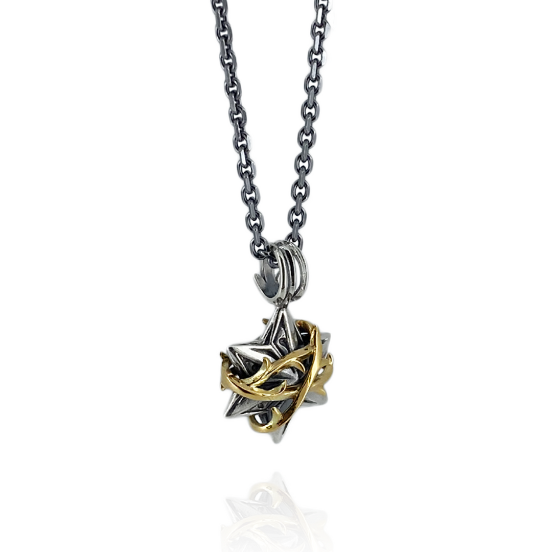 THORN HEXAGRAM PENDANT M SV × K10YG